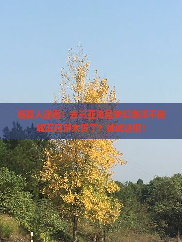 临夏前往三亚海昌梦幻海洋不夜城五日游