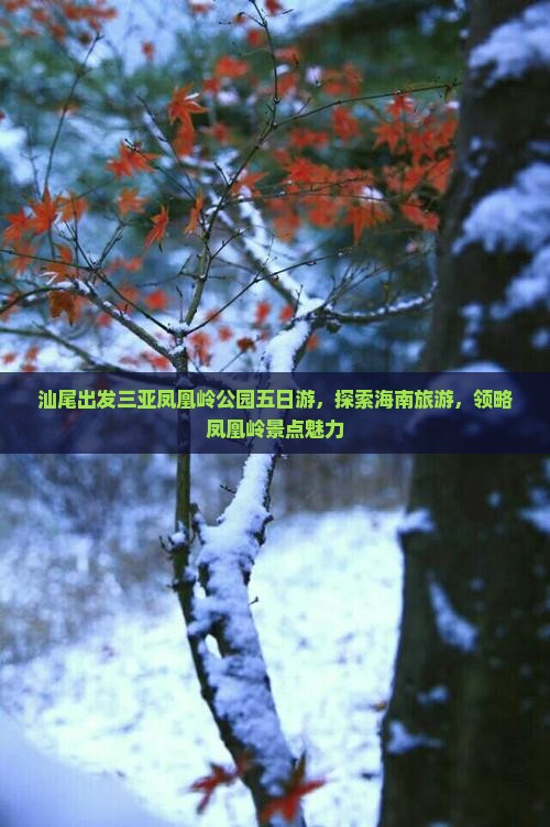 汕尾出发三亚凤凰岭公园五日游