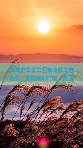 深圳前往三亚南湾猴岛自由行