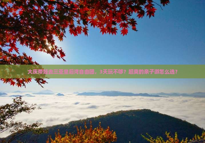 大庆去三亚皇后湾自由团