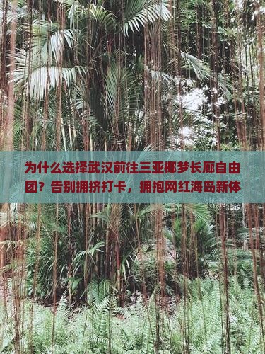 武汉前往三亚椰梦长廊自由团