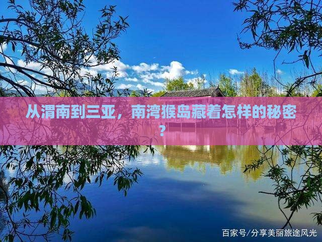 渭南去三亚南湾猴岛个人游