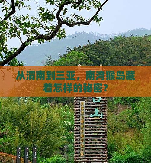 渭南去三亚南湾猴岛个人游