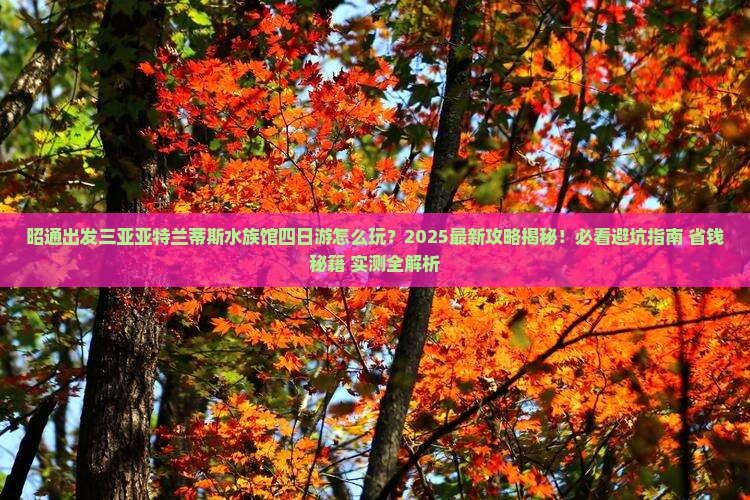 昭通出发三亚亚特兰蒂斯水族馆四日游