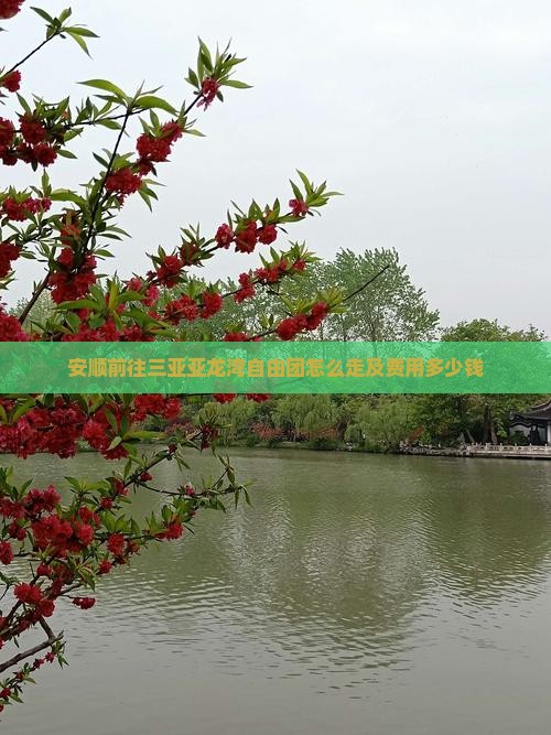 安顺前往三亚亚龙湾自由团