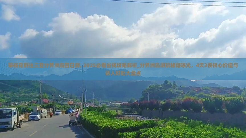 攀枝花前往三亚分界洲岛四日游