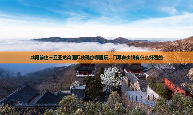 咸阳前往三亚亚龙湾国际玫瑰谷哪里玩