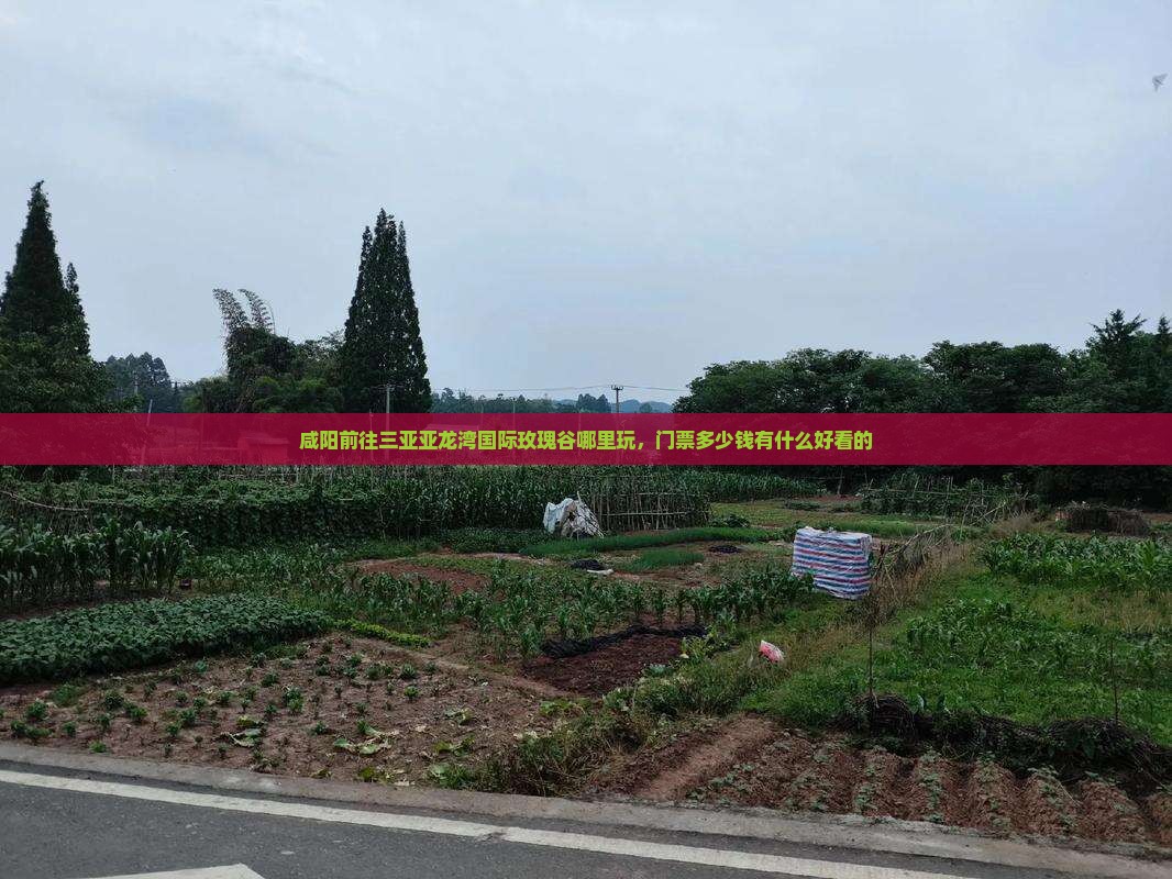 咸阳前往三亚亚龙湾国际玫瑰谷哪里玩