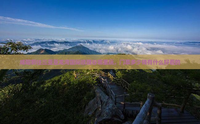 咸阳前往三亚亚龙湾国际玫瑰谷哪里玩