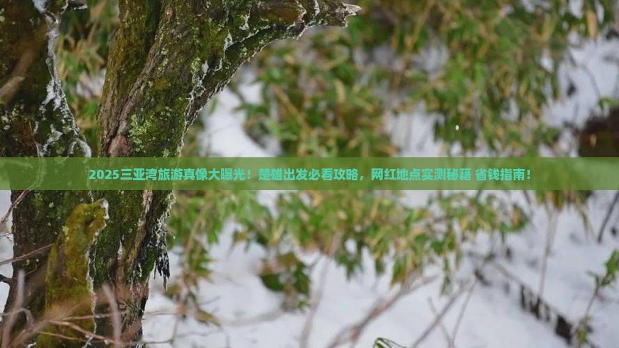 楚雄去三亚三亚湾旅游网红地点