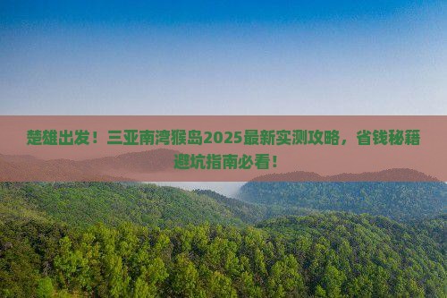 楚雄前往三亚南湾猴岛旅游打卡点