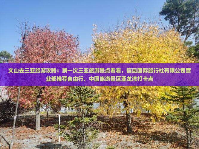 文山去三亚亚龙湾旅游打卡点