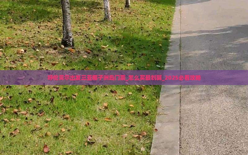 呼伦贝尔出发三亚椰子洲岛门票