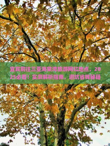宜宾前往三亚海棠湾旅游网红地点