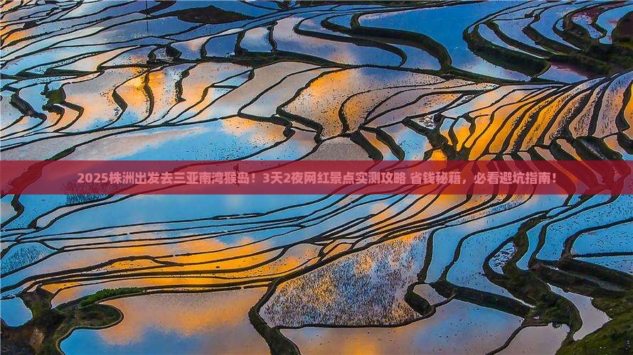 株洲前往三亚南湾猴岛旅游网红地点