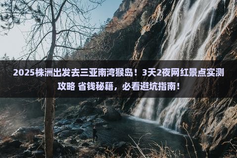 株洲前往三亚南湾猴岛旅游网红地点