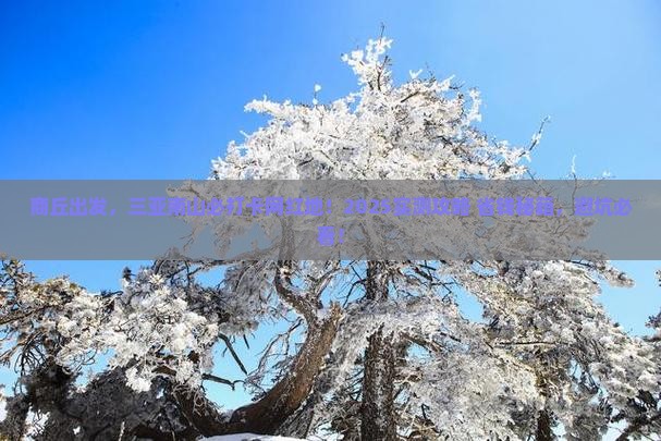 商丘前往三亚南山文化旅游区旅游网红地点