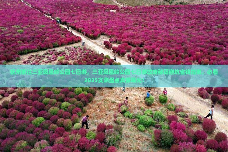 抚州前往三亚凤凰岭公园七日游