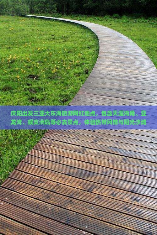 庆阳出发三亚大东海旅游网红地点