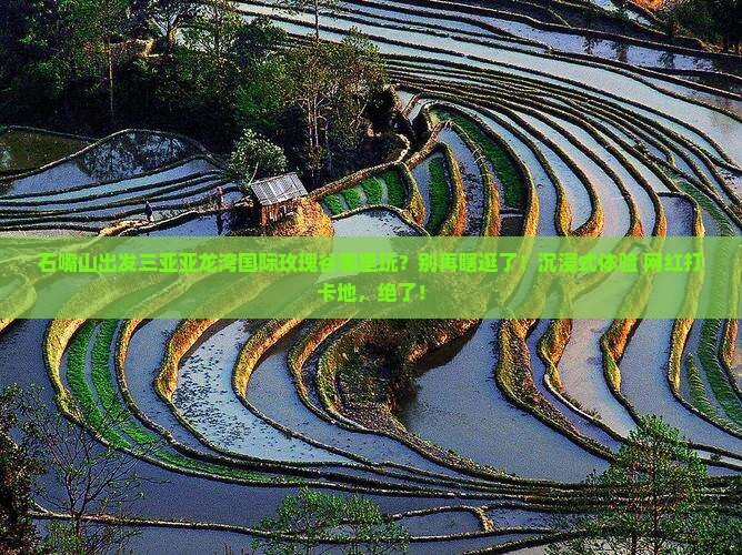 石嘴山出发三亚亚龙湾国际玫瑰谷哪里玩
