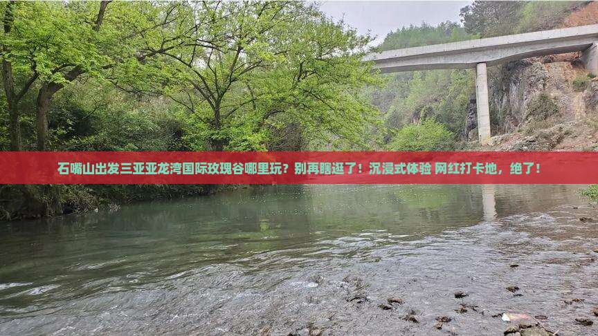 石嘴山出发三亚亚龙湾国际玫瑰谷哪里玩