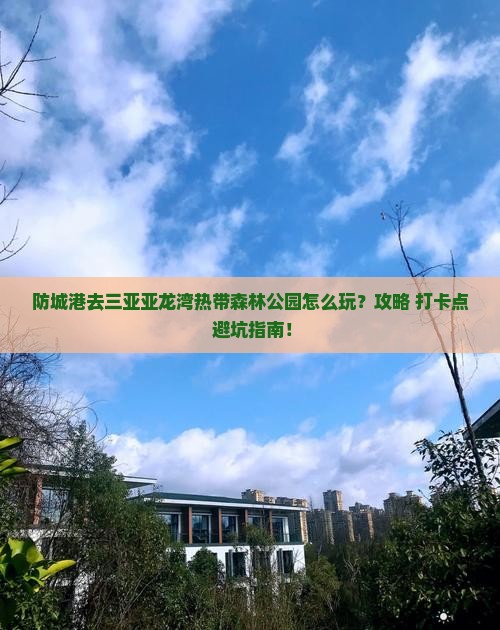防城港前往三亚亚龙湾热带森林公园旅游打卡点