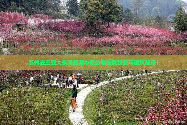 泰州前往三亚大东海旅游小吃