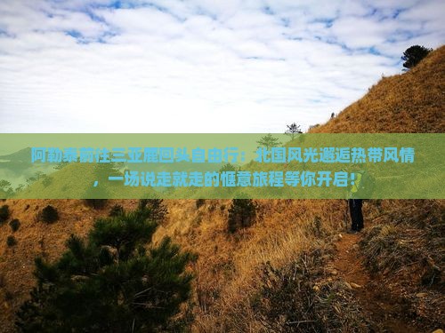 阿勒泰前往三亚鹿回头自由行