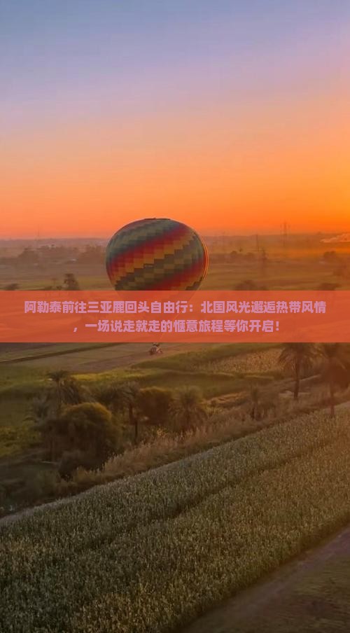 阿勒泰前往三亚鹿回头自由行