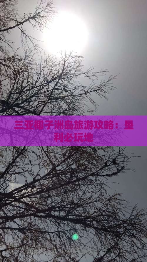 垦利去三亚椰子洲岛必玩地