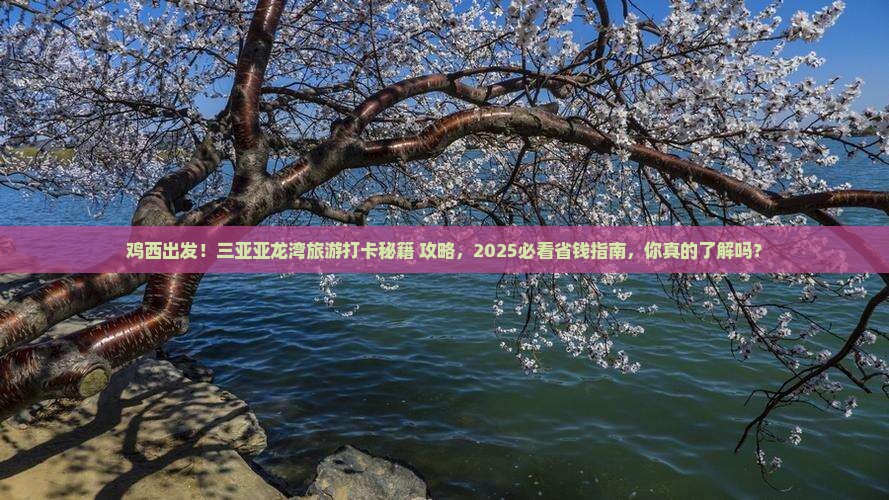 鸡西前往三亚亚龙湾旅游打卡点 鸡西前往三亚亚龙湾旅游打卡点