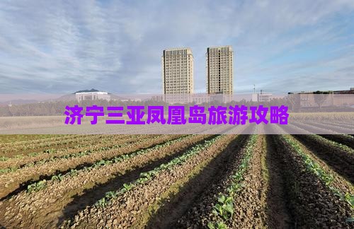 济宁出发三亚凤凰岛门票