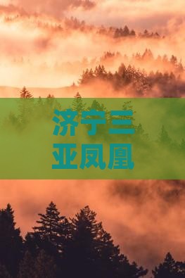 济宁出发三亚凤凰岛门票