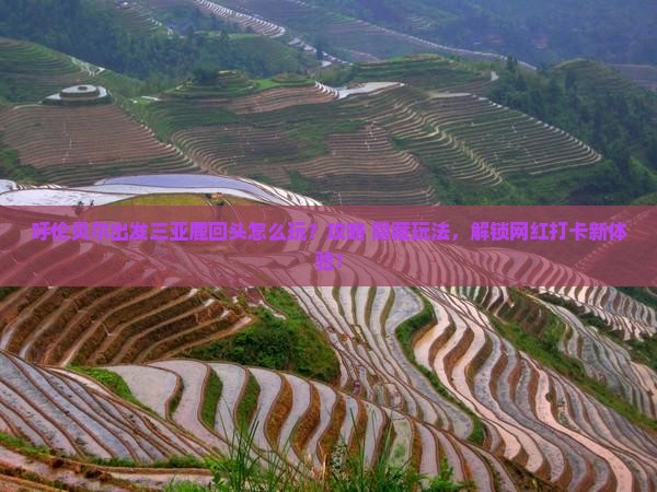 呼伦贝尔出发三亚鹿回头哪里玩