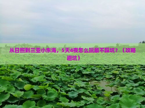 日照去三亚小东海攻略
