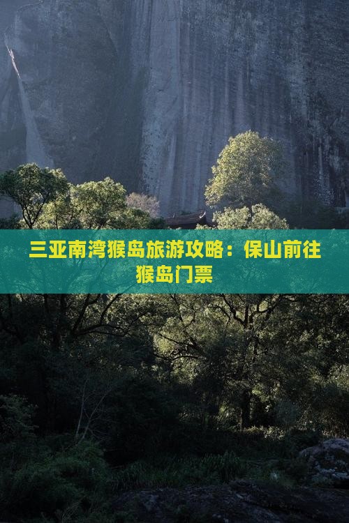 保山前往三亚南湾猴岛门票