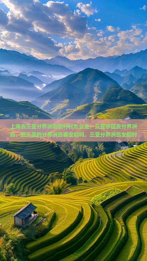 上海去三亚分界洲岛旅行社