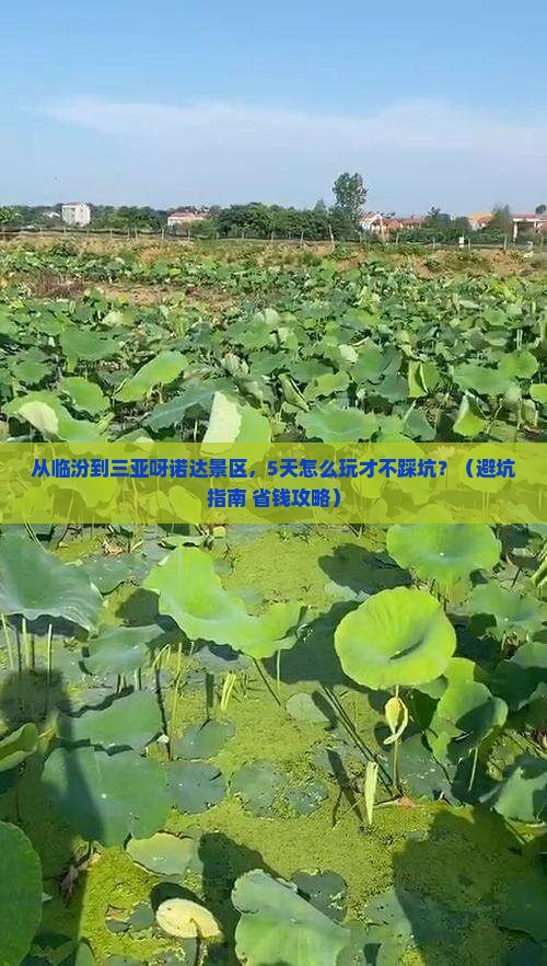 临汾前往三亚呀诺达景区个人游