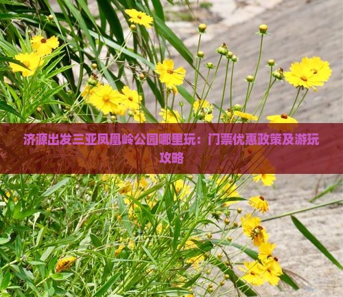 济源出发三亚凤凰岭公园哪里玩：门票优惠政策及游玩攻略