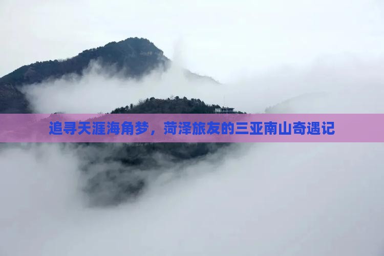 追寻天涯海角梦，菏泽旅友的三亚南山奇遇记