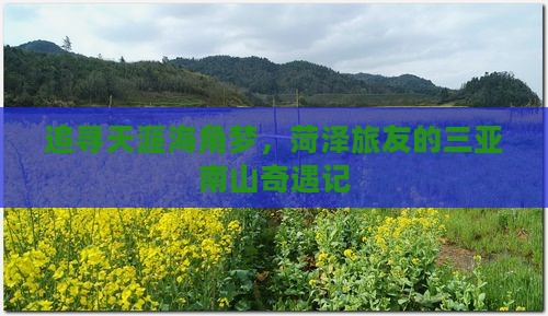 追寻天涯海角梦，菏泽旅友的三亚南山奇遇记