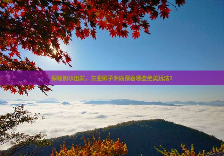 探秘衡水出发，三亚椰子洲岛藏着哪些绝美玩法？