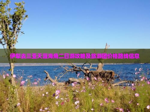 伊犁去三亚天涯海角二日游攻略及旅游团价格路线信息