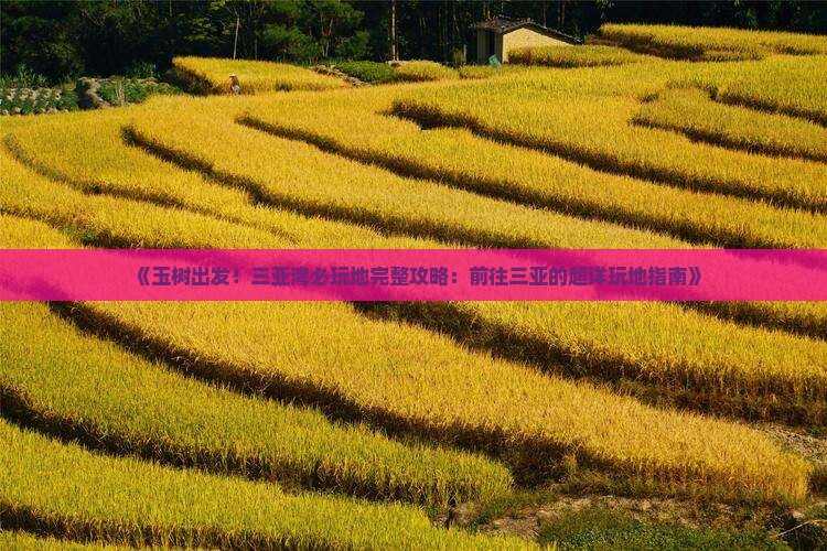 《玉树出发！三亚湾必玩地完整攻略：前往三亚的超详玩地指南》