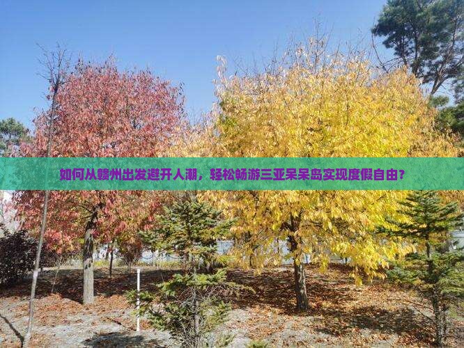 如何从赣州出发避开人潮，轻松畅游三亚呆呆岛实现度假自由？