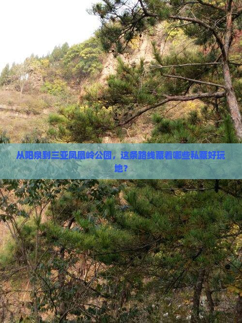 从阳泉到三亚凤凰岭公园，这条路线藏着哪些私藏好玩地？