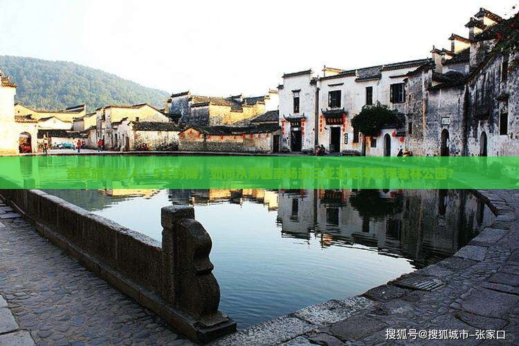 资深旅行达人！5天时间，如何从黔西南畅游三亚亚龙湾热带森林公园？