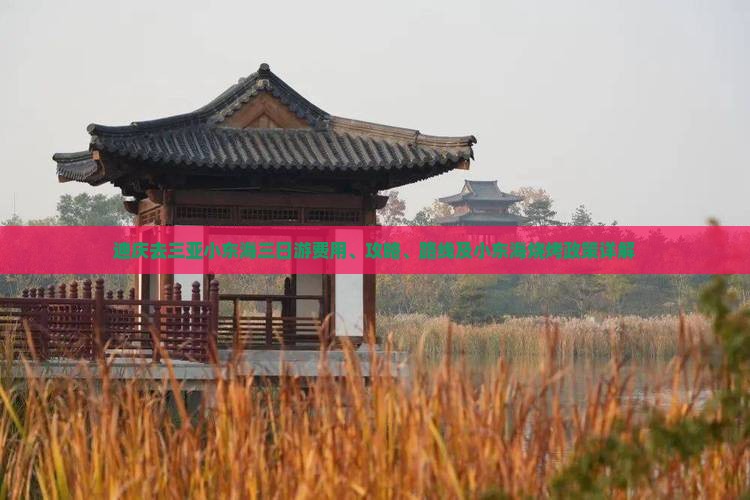 迪庆去三亚小东海三日游费用、攻略、路线及小东海烧烤政策详解