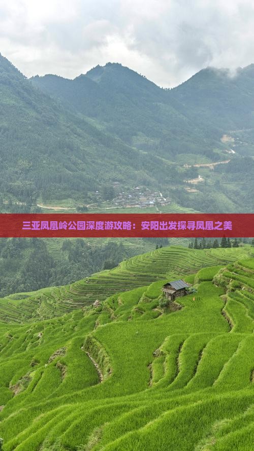 三亚凤凰岭公园深度游攻略：安阳出发探寻凤凰之美