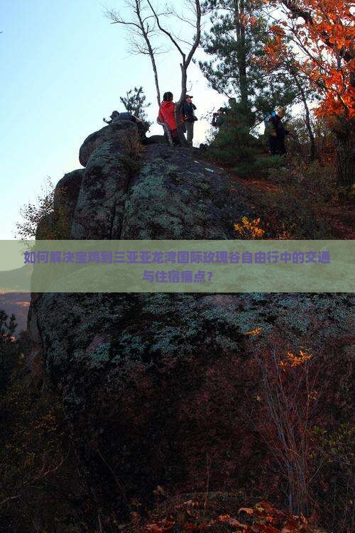 如何解决宝鸡到三亚亚龙湾国际玫瑰谷自由行中的交通与住宿痛点？